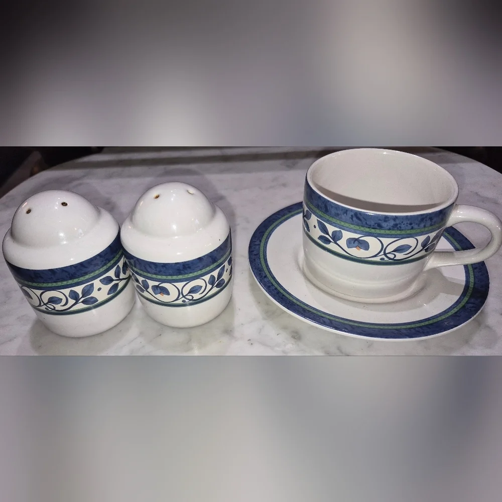 Pfaltzgraff Orleans Collection, 1 Tea/Coffee Cup ,1 Saucer Salt & Pepper Shakers